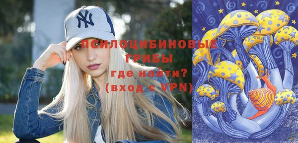 стаф Коряжма