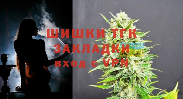 стаф Коряжма